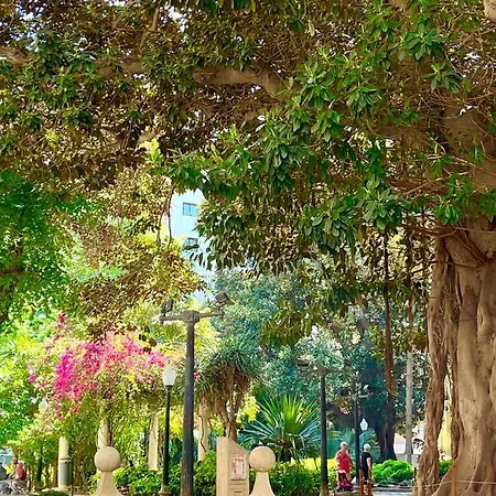 Arte Alicante